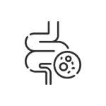 Digestive Health