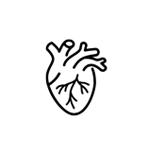 Cardiovascular Support