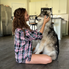 Polly + Luna (the beautiful Husky!)
