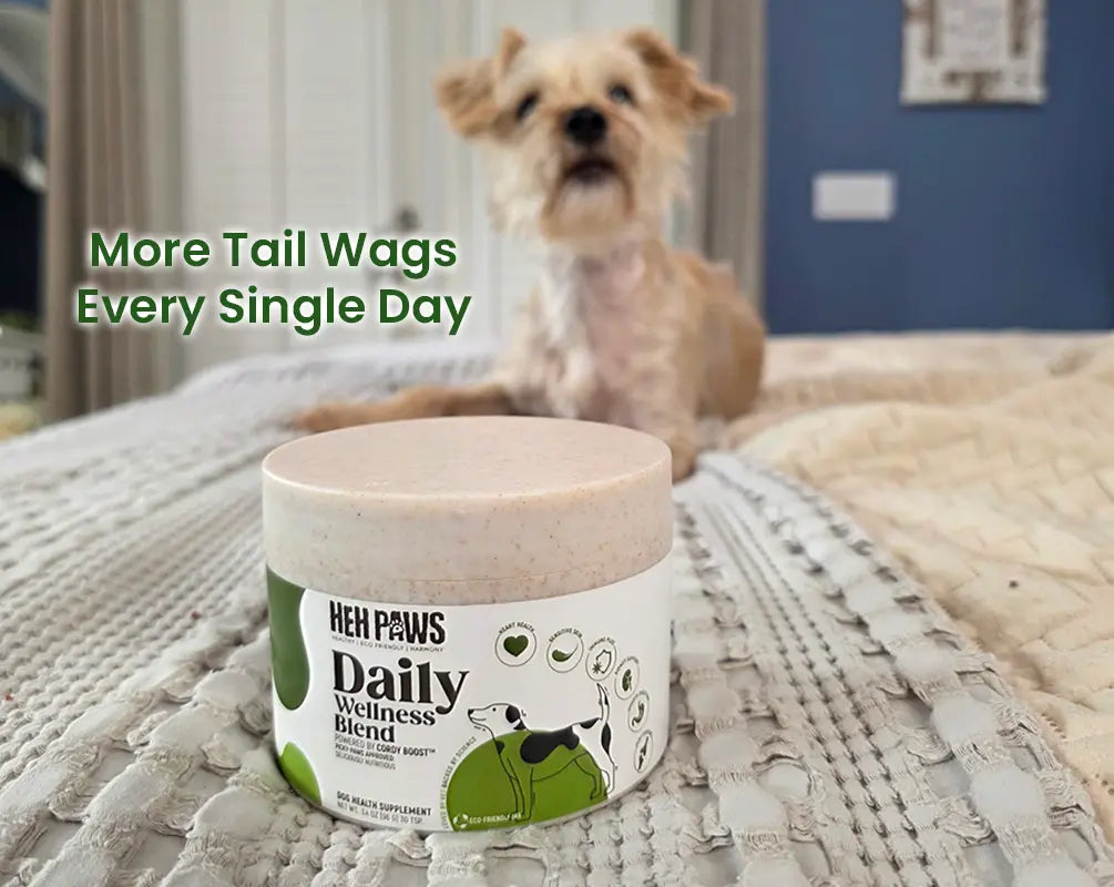 HEH PAWS Daily Wellness Blend 3.4oz