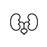 Urinary Tract Support