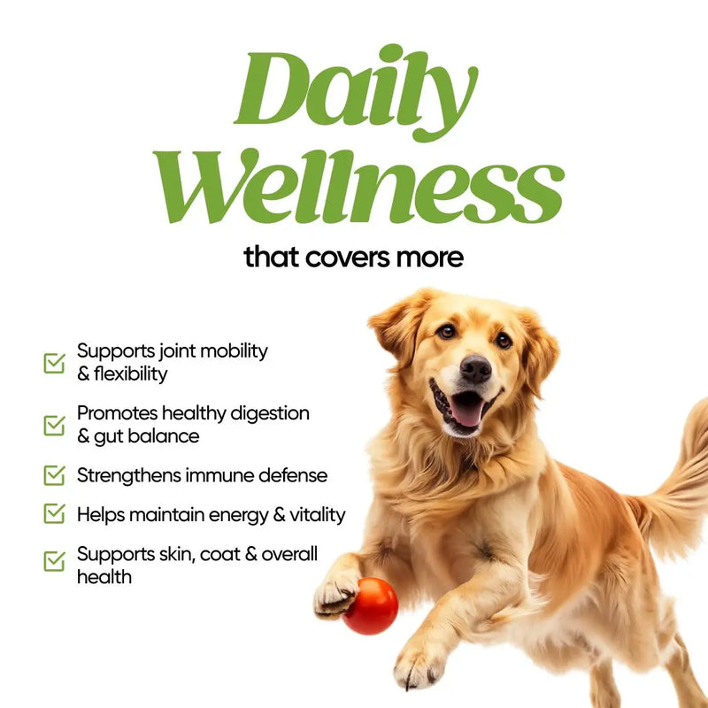 HEH PAWS Daily Wellness Supplement for Dogs