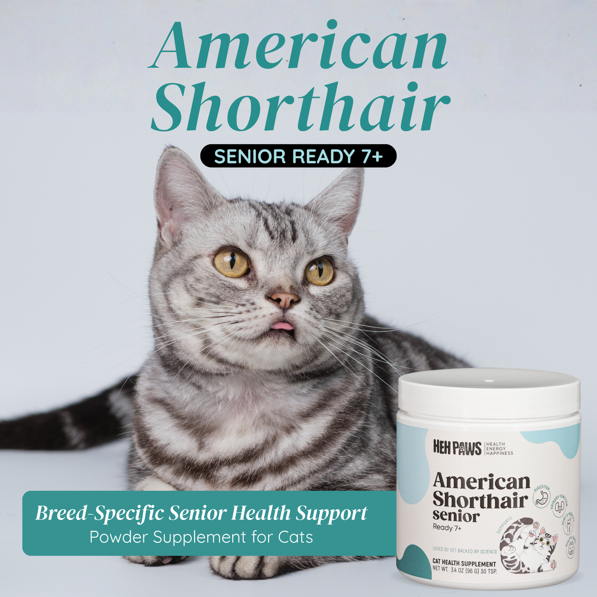 HEH PAWS American Shorthair Senior Ready - HEH Paws