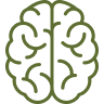brain icon