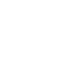brain icon