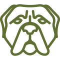 bullmastiff icon