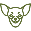 chihuahua icon