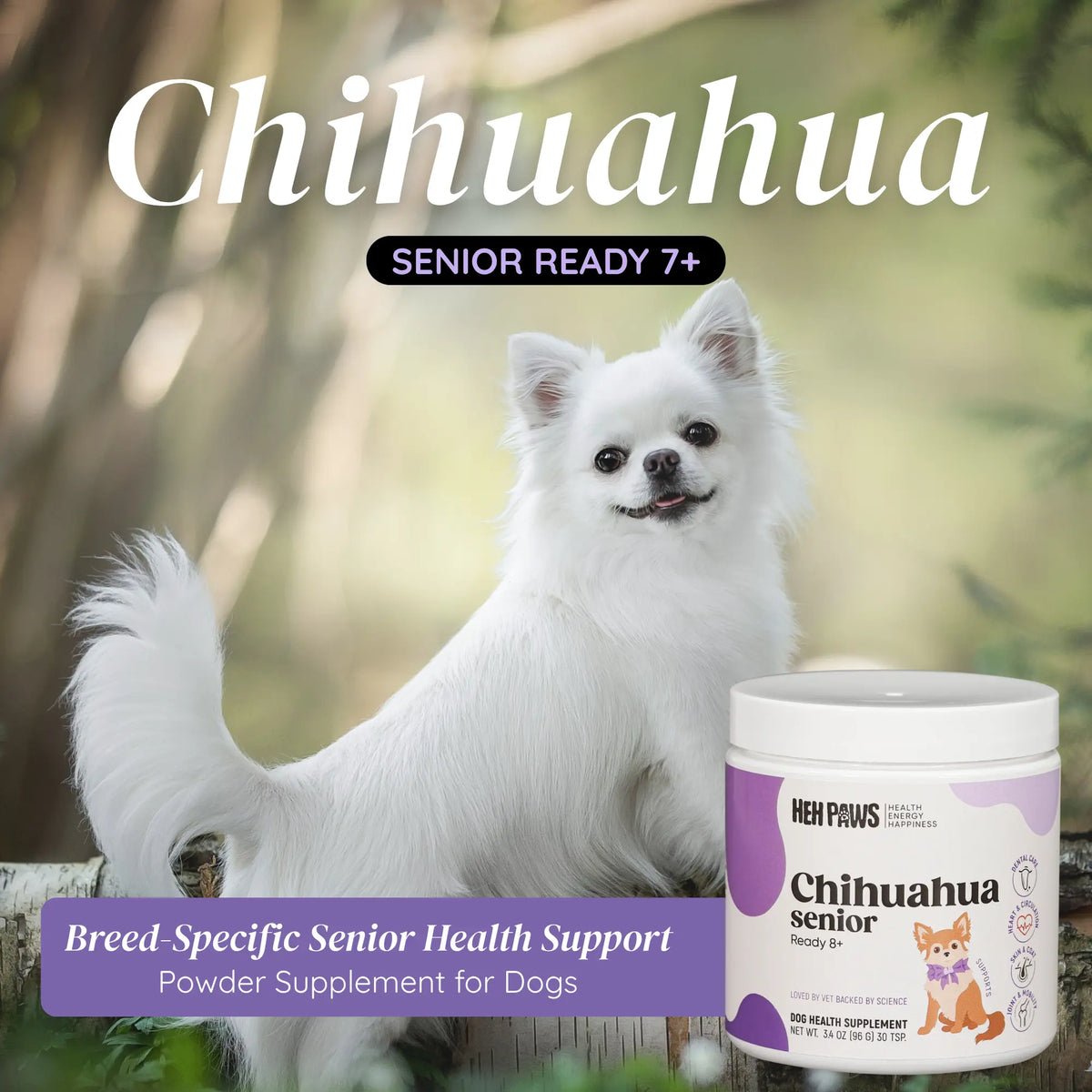 HEH PAWS Chihuahua Senior Ready - HEH Paws