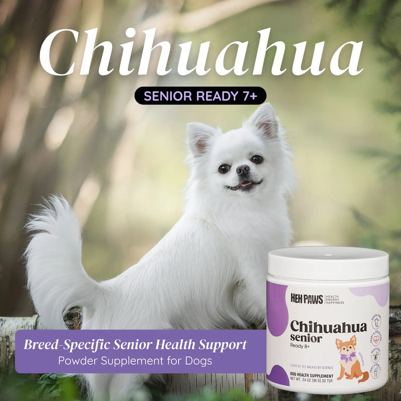HEH PAWS Chihuahua Senior Ready