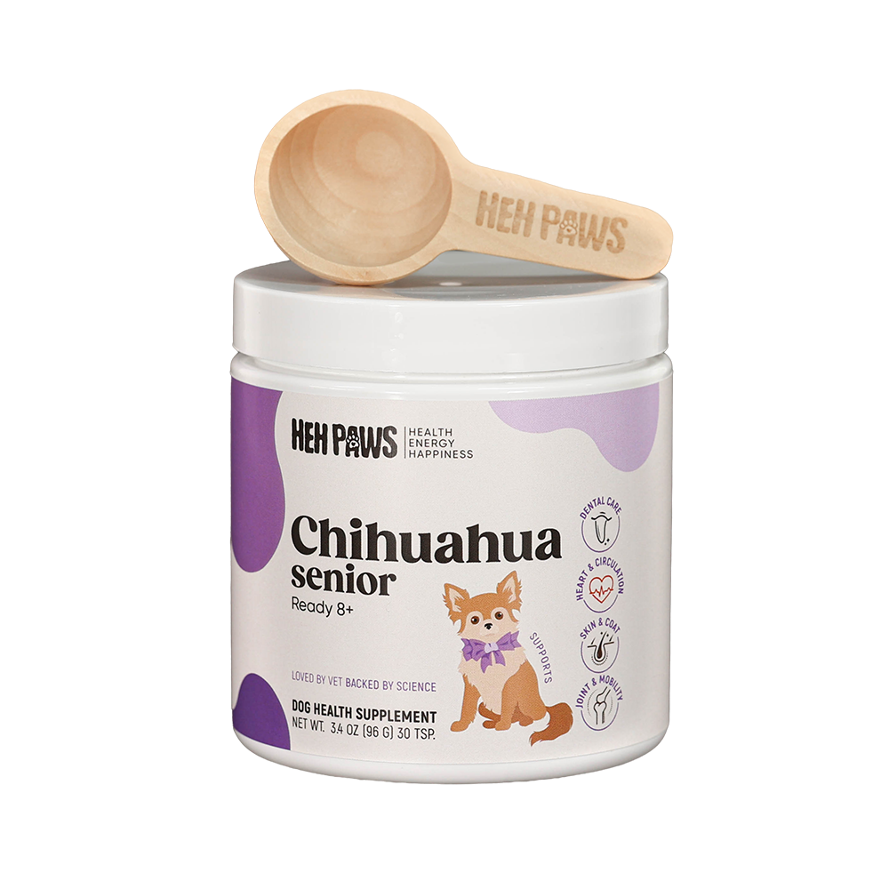 Chihuahua Wellness Support