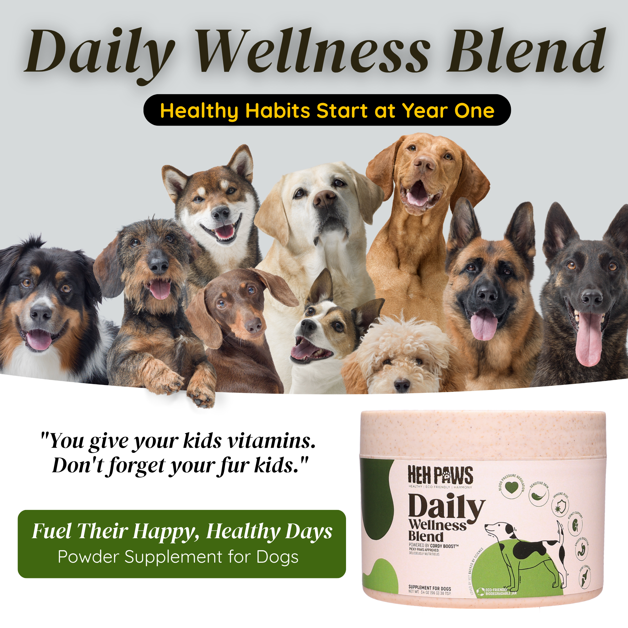 Daily Wellness Blend