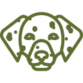 dalmatian icon