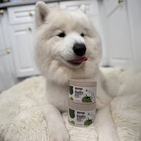 Dog with supplement