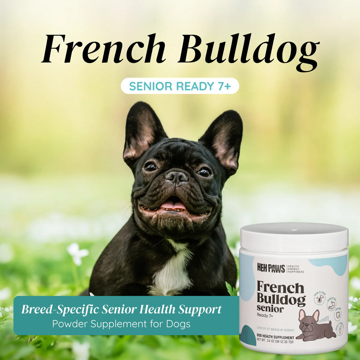 HEH PAWS French Bulldog Senior Ready - HEH Paws