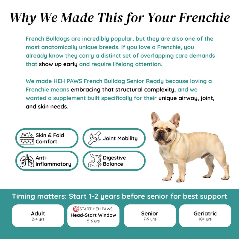 HEH PAWS French Bulldog Senior Ready