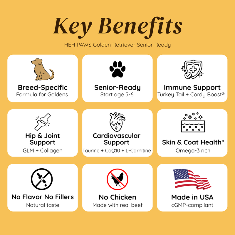 HEH PAWS Golden Retriever Senior Ready