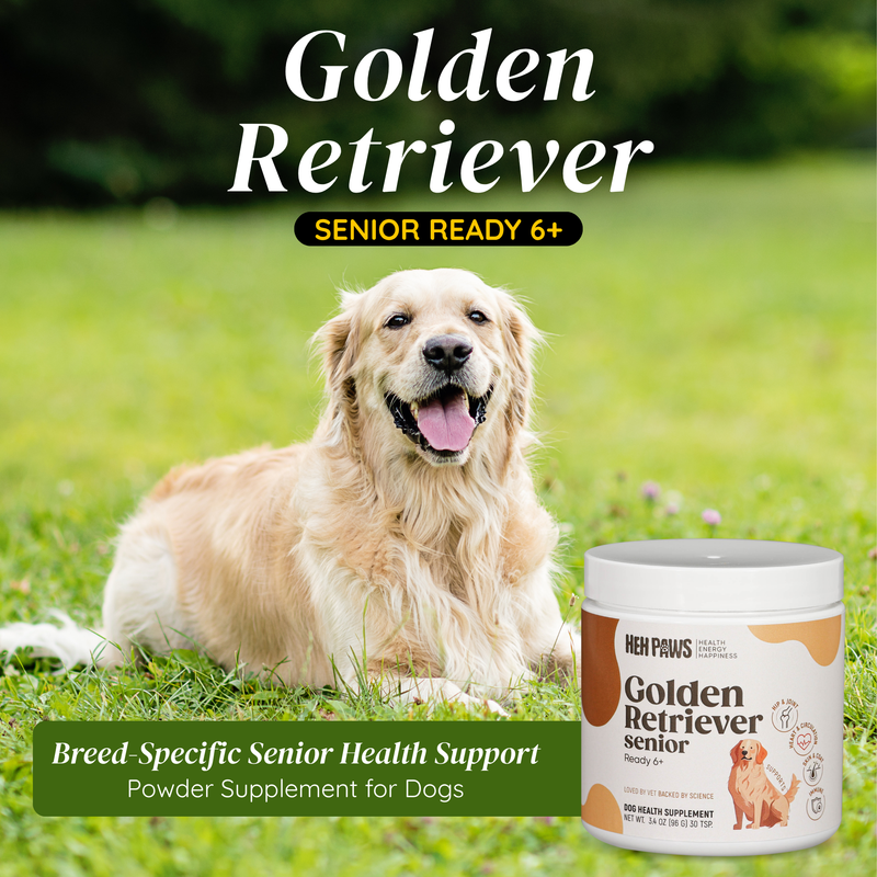 HEH PAWS Golden Retriever Senior Ready