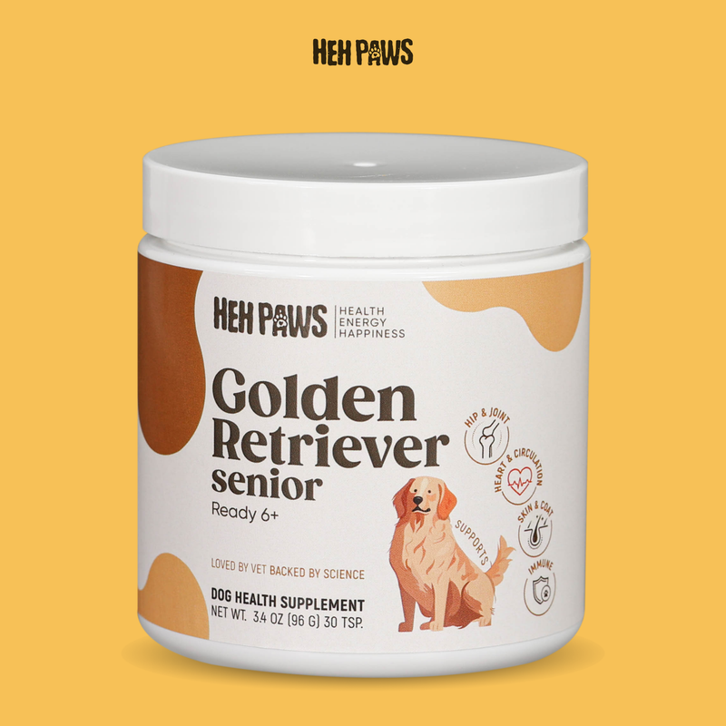 HEH PAWS Golden Retriever Senior Ready