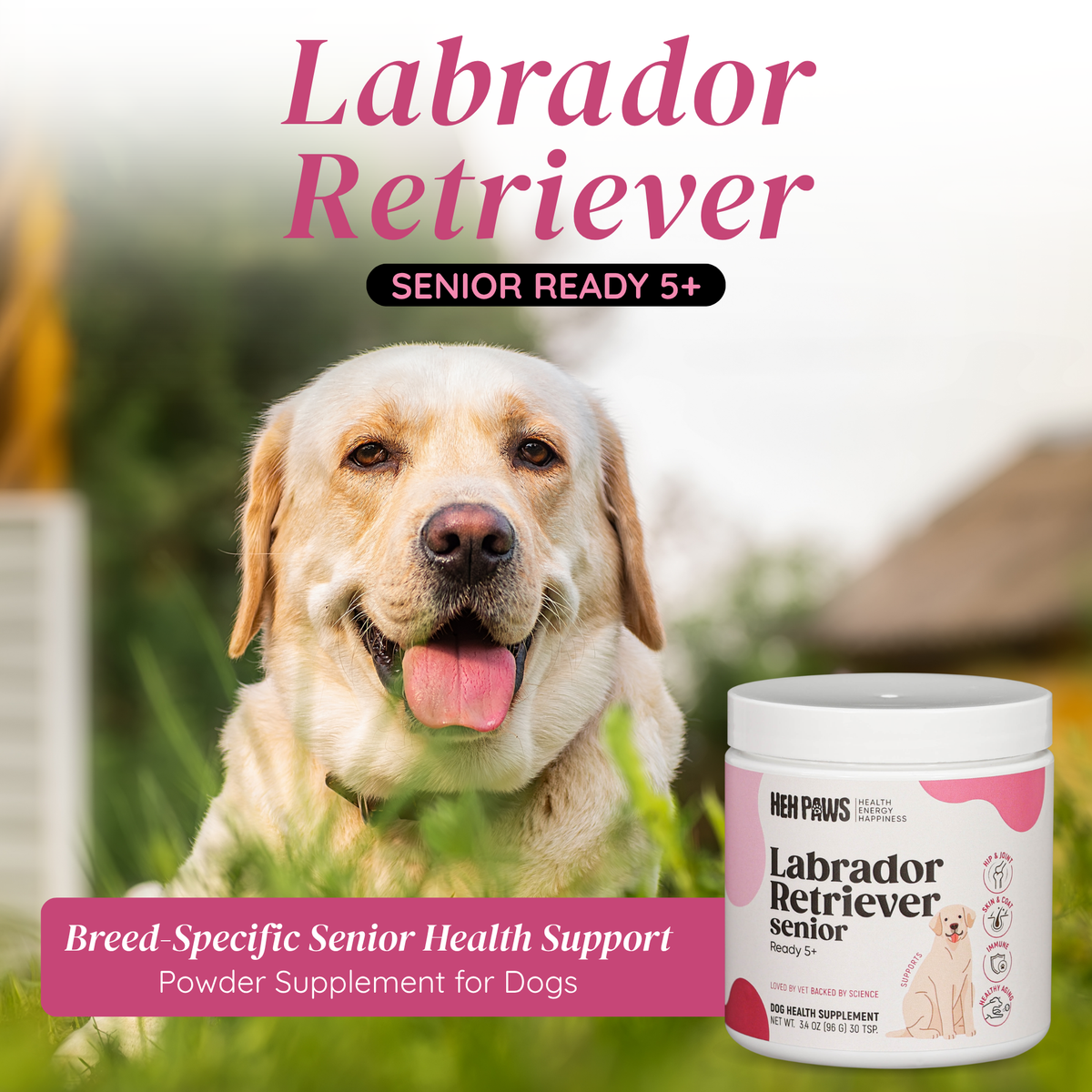 HEH PAWS Labrador Retriever Senior Ready - HEH Paws