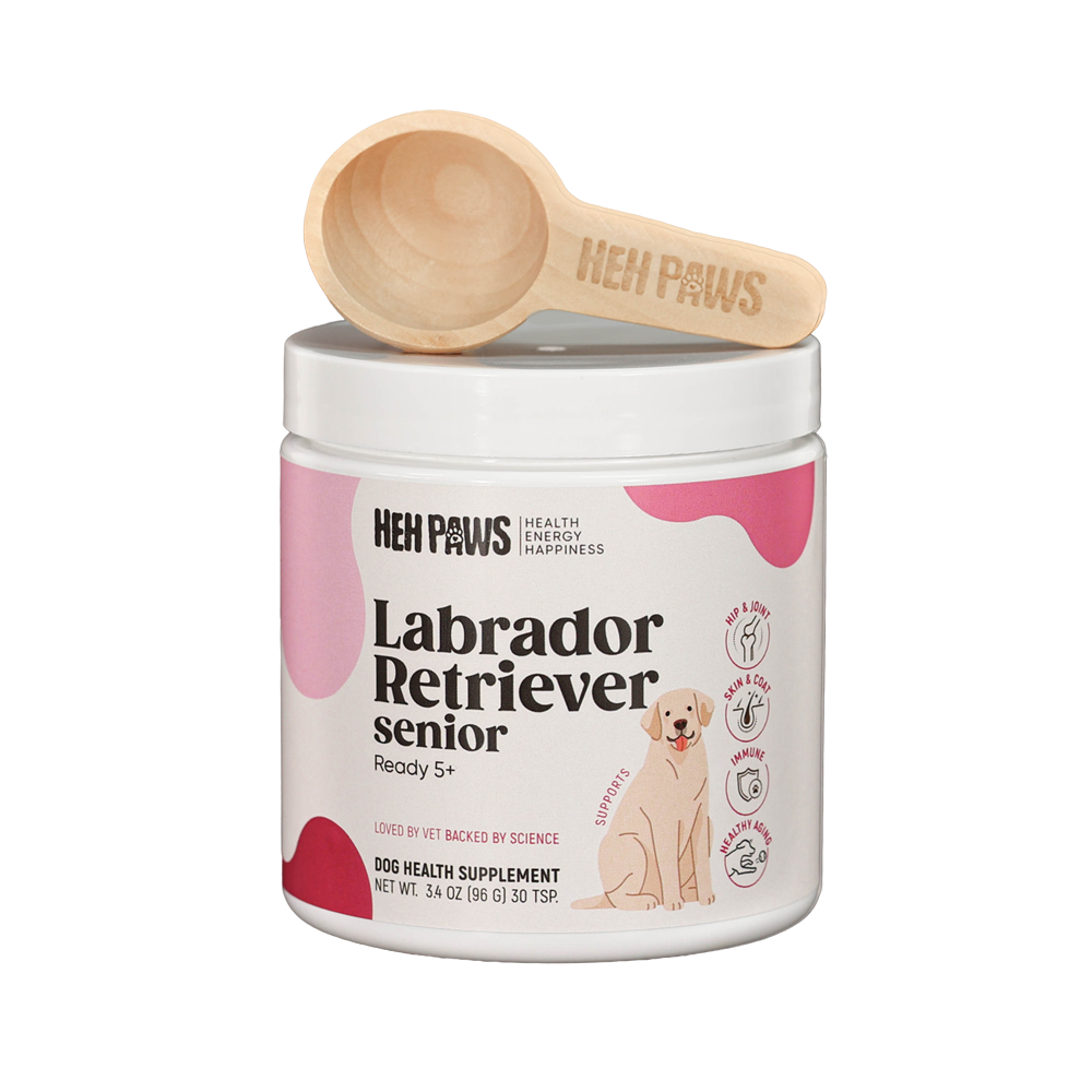 Labrador Retriever Wellness Support