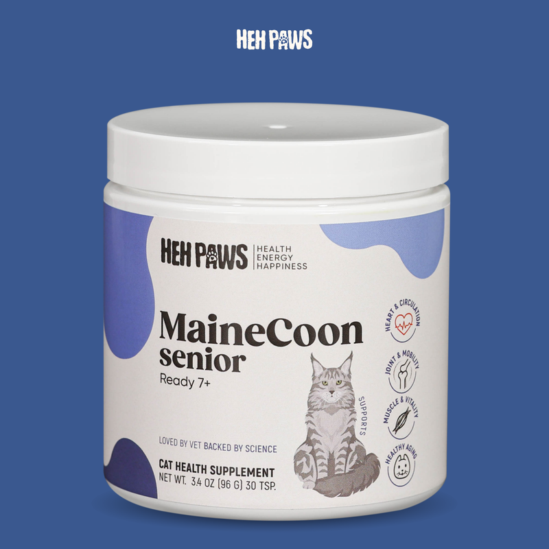 HEH PAWS Maine Coon Senior Ready