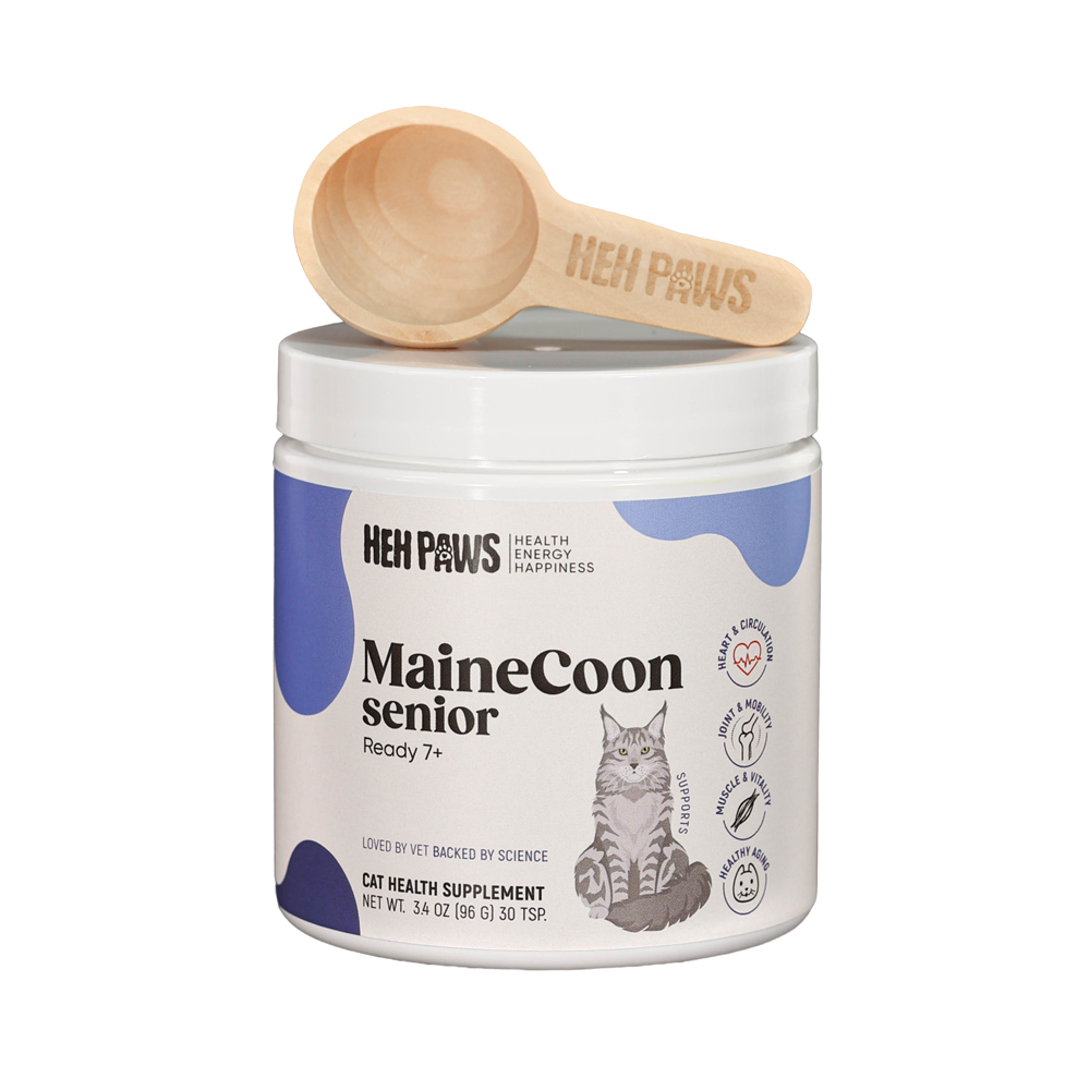 Maine Coon Wellness Support