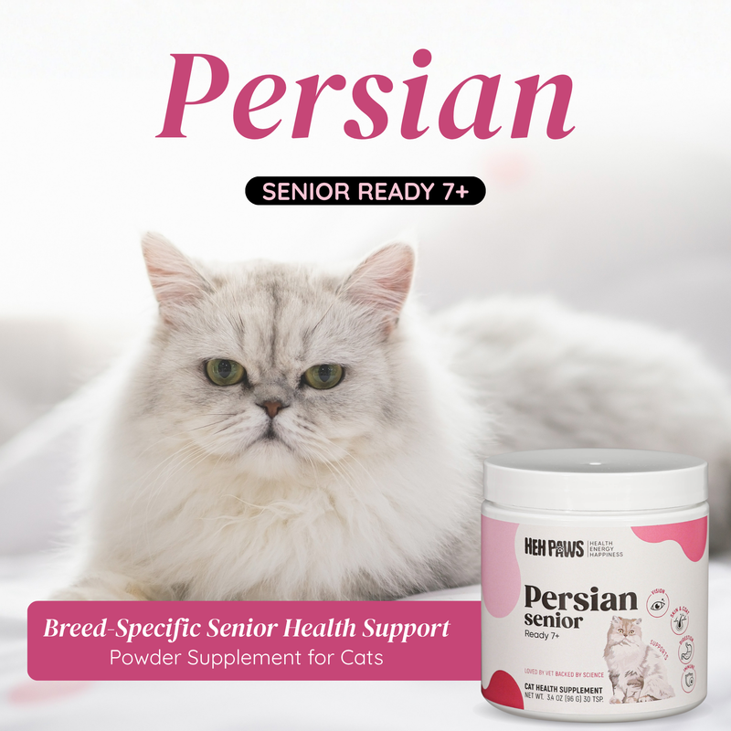 HEH PAWS Persian Senior Ready