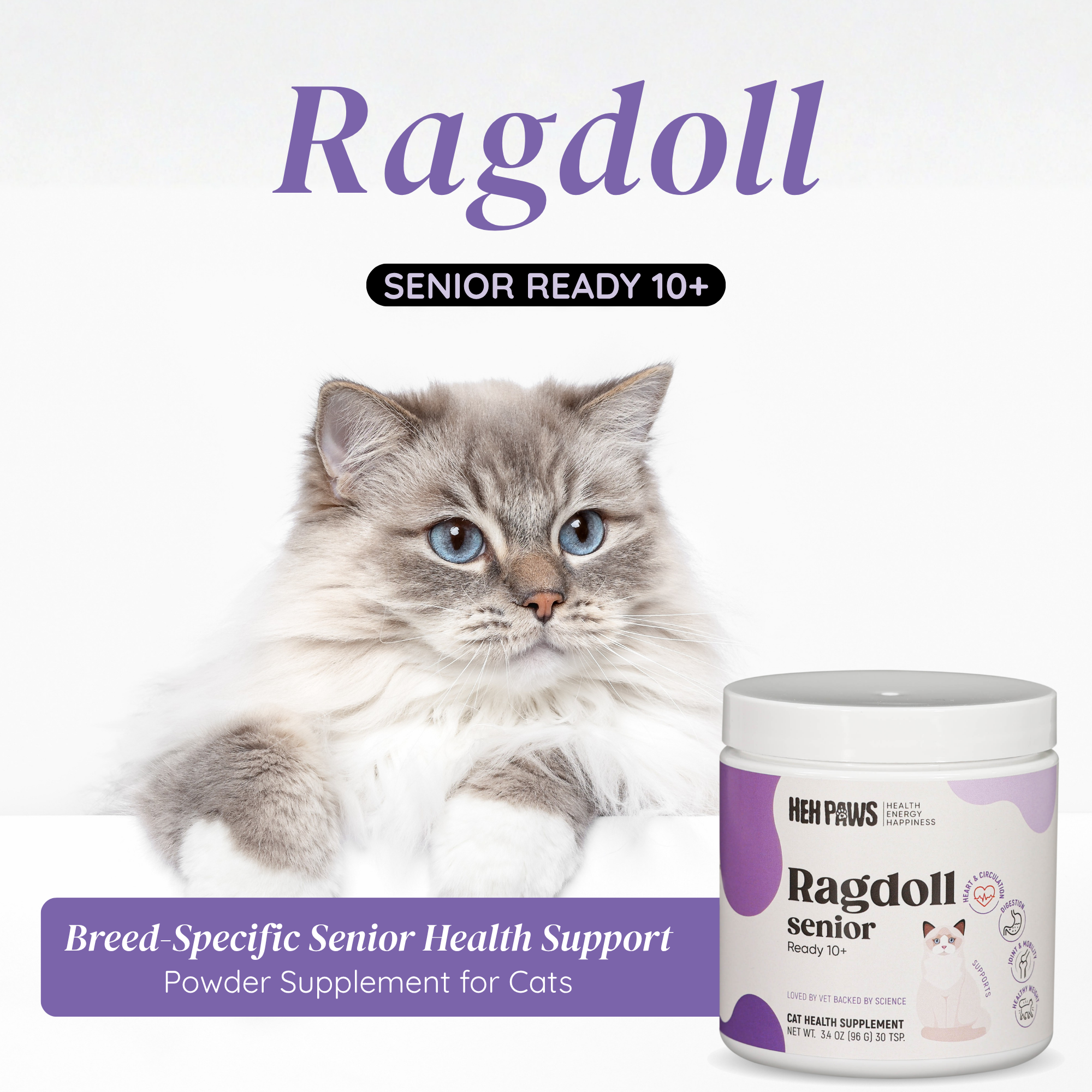 Ragdoll Senior Ready