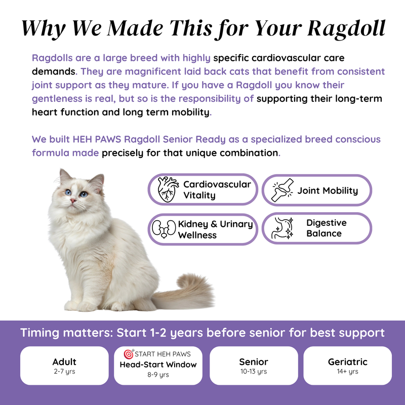 HEH PAWS Ragdoll Senior Ready